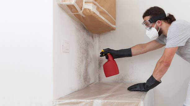 Professional Bathroom Mold Removal technician working in Glen Arbor, MI